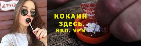 дживик Елизово