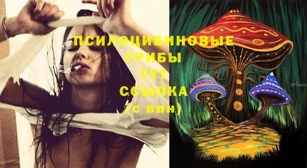 мескалин Ельня