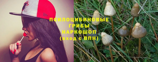 дживик Елизово