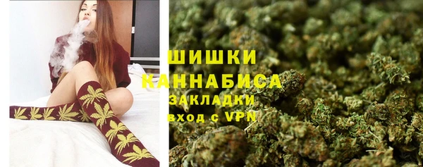 Альфа ПВП Елабуга