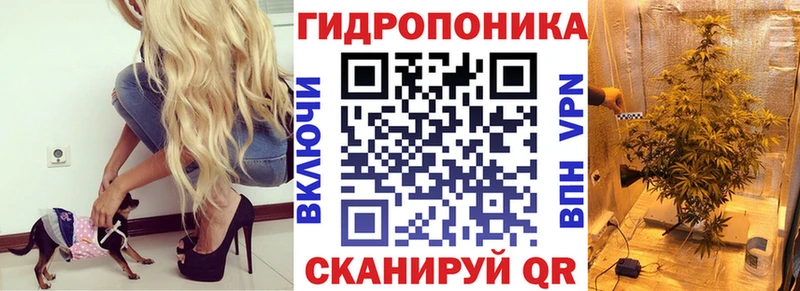 Бошки Шишки план Ермолино
