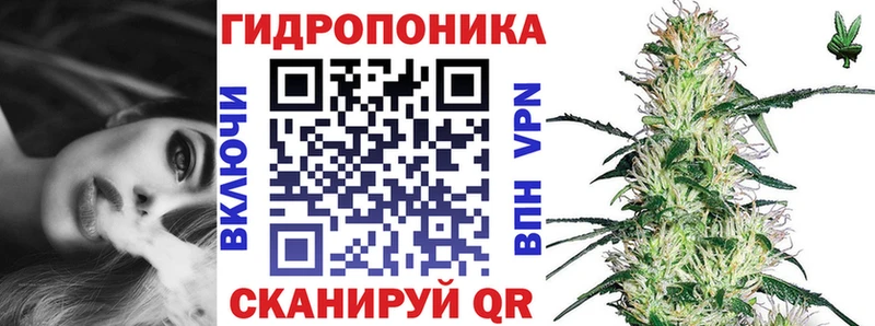 Бошки марихуана OG Kush  Ермолино 